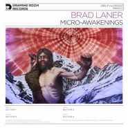 Brad Laner, Micro-Awakenings (LP)