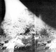 Godspeed You! Black Emperor, Asunder, Sweet And Other Distress (CD)