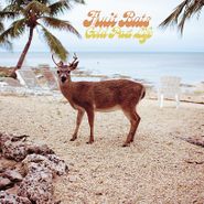 Fruit Bats, Gold Past Life [Opaque Aqua Vinyl] (LP)