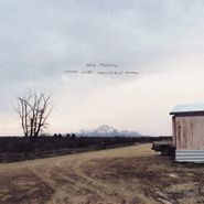 Will Johnson, Wire Mountain (LP)