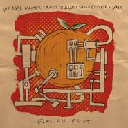 Weasel Walter, Electric Fruit (CD)