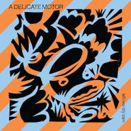 A Delicate Motor, Fellover My Own (CD)