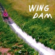 Wing Dam, Glow Ahead (CD)