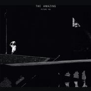 The Amazing, Picture You (LP)