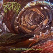 Fetid, Steeping Corporeal Mess (CD)