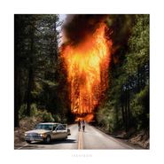 Ladytron, Ladytron (LP)