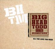 Big Head Todd & The Monsters, All The Love You Need (CD)