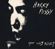 Harry Pussy, What Was Music? (CD)