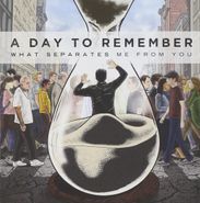 A Day To Remember, What Separates Me From You [Picture Disc] (LP)