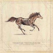 Turnpike Troubadours, A Long Way From Your Heart (LP)