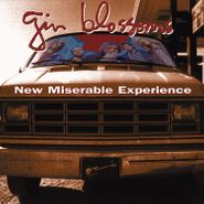 Gin Blossoms, New Miserable Experience (LP)
