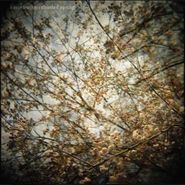Horse Feathers, Thistled Spring (LP)