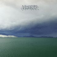 Modest Mouse, The Fruit That Ate Itself (CD)