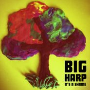 Big Harp, It's A Shame (7")