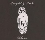 Trampled By Turtles, Palomino (CD)