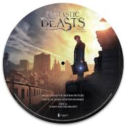 James Newton Howard, Fantastic Beasts And Where To Find Them [OST] [Picture Disc] (12")