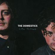 The Domestics, Little Darkness (LP)