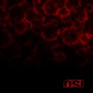 OSI, Blood (CD)