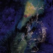 Bardo Pond, Under The Pines (LP)