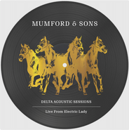 Mumford & Sons, Delta Acoustic Sessions: Live From Electric Lady [Record Store Day Picture Disc] (10")