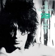 The Waterboys, A Pagan Place (LP)