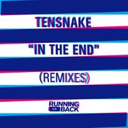 Tensnake, In The End (Remixes) (12")