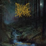 Infernal Coil, Within A World Forgotten (LP)