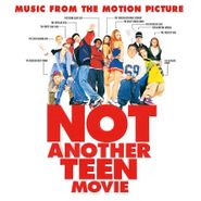 Various Artists, Not Another Teen Movie [OST] (LP)