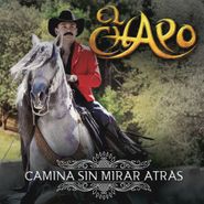 Chapo de Sinaloa , Camina Sin Mirar Atras (CD)
