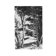 Rick Deitrick, Gentle Wilderness (LP)