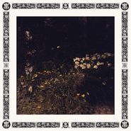 Sarah Davachi, Pale Bloom (LP)
