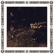 Sarah Davachi, Pale Bloom (CD)