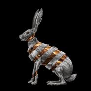 San Fermin, Jackrabbit (CD)