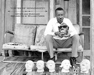 Various Artists, Voices Of Mississippi: Artists & Musicians Documented By William Ferris [Box Set] (CD)