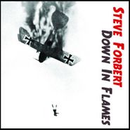 Steve Forbert, Down In Flames (CD)