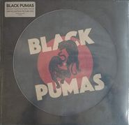 Black Pumas, Black Pumas [Picture Disc] (LP)