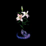 DBUK, Songs One Through Eight (LP)