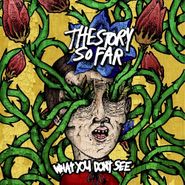 The Story So Far, What You Don't See (LP)