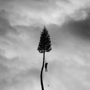 Manchester Orchestra, A Black Mile To The Surface [Deluxe Edition Clear and Black Smoke Vinyl] (LP)