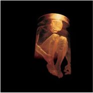 Alice In Chains, Nothing Safe: The Best Of The Box (CD)