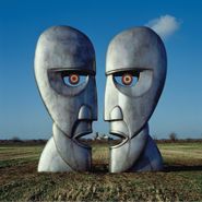 Pink Floyd, The Division Bell [180 Gram Vinyl] (LP)