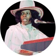 Sly Stone, Family Affair: The Very Best Of Sly Stone [Picture Disc] (LP)