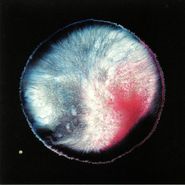 Bryce Hackford, New Needs For Safety (12")