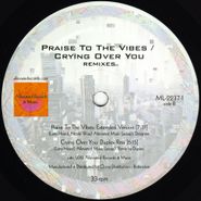 Mr. Fingers, Praise To The Vibes Remixes / Crying Over You (12")