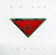 A Minor Forest, Inindependence (CD)