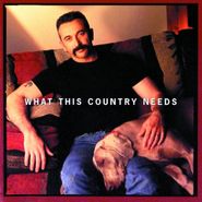 Aaron Tippin, What This Country Needs (CD)
