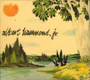 Albert Hammond Jr., Yours To Keep (CD)