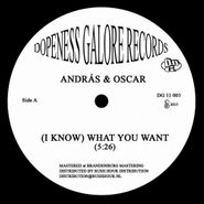 András & Oscar, (I Know) What You Want (12")