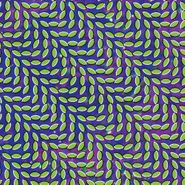 Animal Collective, Merriweather Post Pavilion (CD)