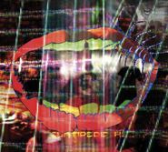 Animal Collective, Centipede Hz (CD)